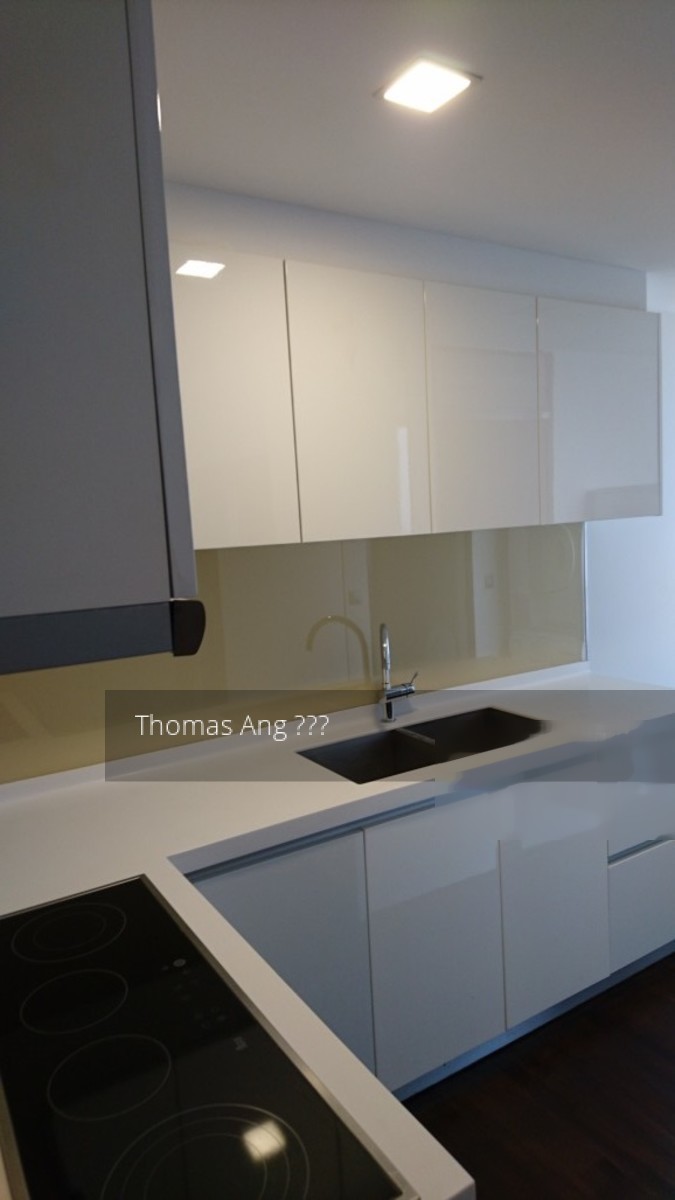 Spottiswoode Residences (D2), Condominium #201361882
